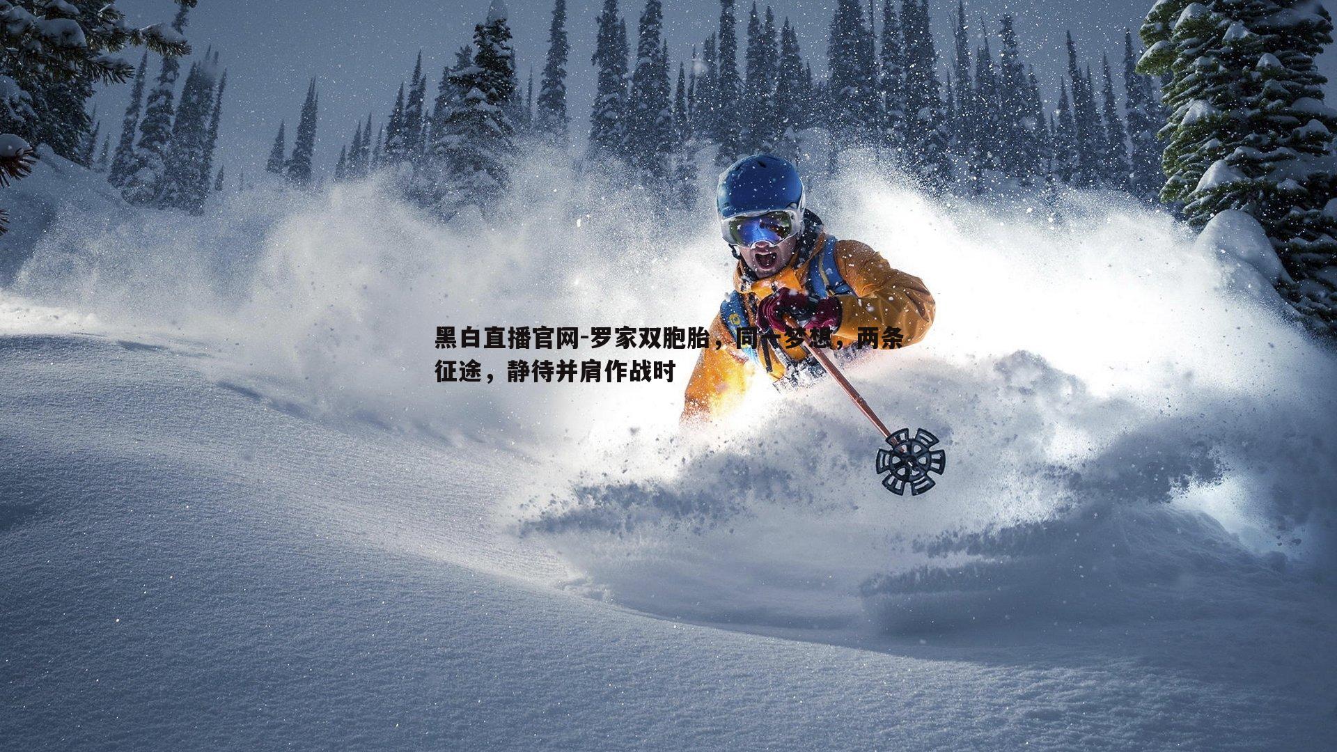 罗家双胞胎,同一梦想,两条征途,静待并肩作战时